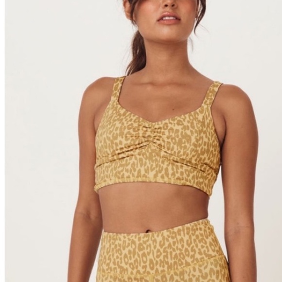 spell and the gypsy collective - Picture 2 of 5